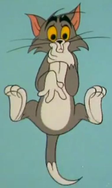 اجمل صور توم وجيري Tom And Jerry