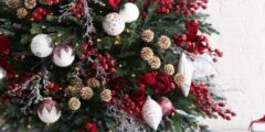 صور شجرة بابا نويل كريسماس 2024