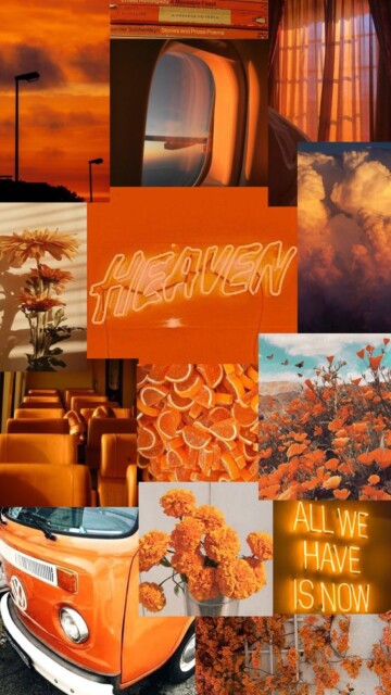 اجمل صور برتقالي
