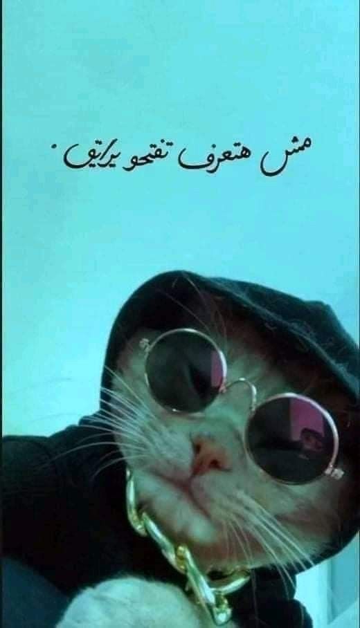  Full Hd 