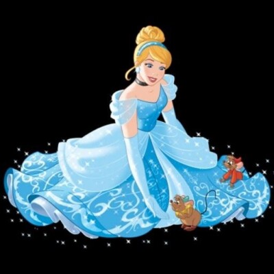 بروفايل الاميرة Cinderella