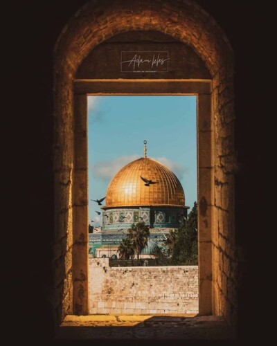 صور Al-Aqsa Mosque