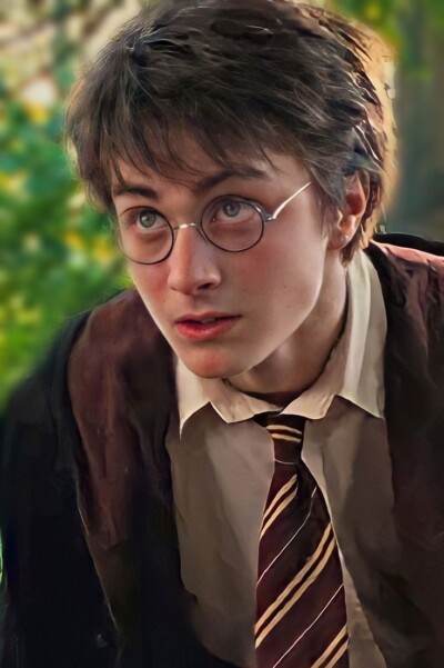 Harry Potter Harry Potter