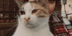صور بنت ماسكة قطة 2025 بروفايل بنات معاها قطة